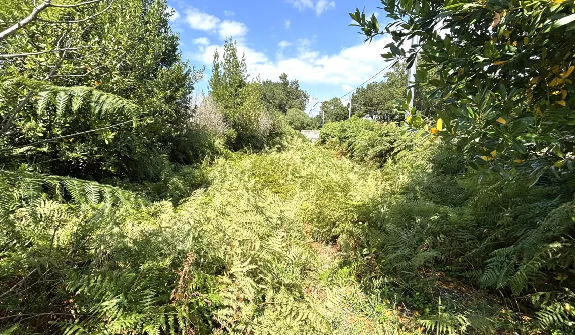 Seulement chez Donzacq Immo, à Labenne - Terrain à bâtir plat de 242 m², emprise au sol de 35%, libre de constructeur. Prévoir la viabilisation complète.