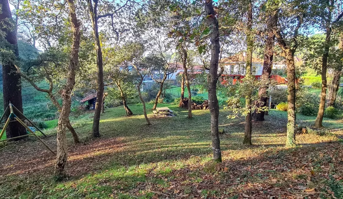 RARE à Ondres à l’abri des regards - Magnifique propriété de 139 m² habitable en parfait état et ses trois chambres sur splendide parcelle arborée de 5 500 m² + garages. Il faut le voir pour le croire!