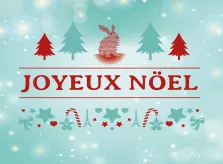 Belles fêtes de fin d’année à vous toutes et tous!