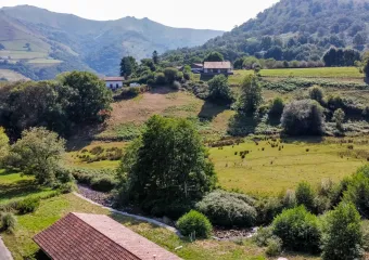 Maison de plain-pied sur Bidarray sur 1737 m² de terrain